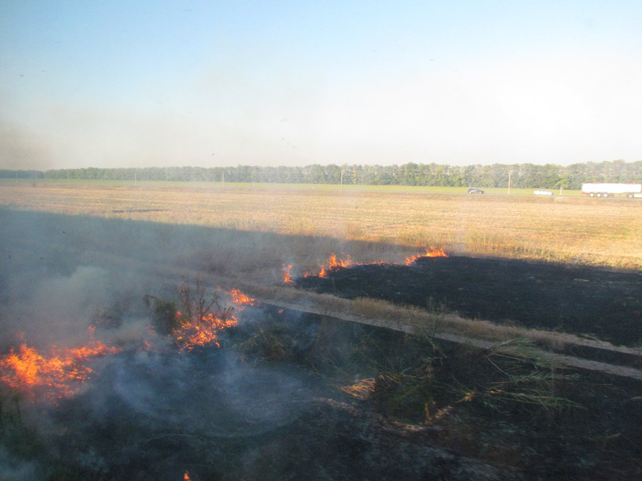пожар в поле, не курите в поездах, пожар в России, горит трава
