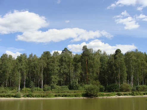 русская природа, пруд в лесу, летний пейзаж
