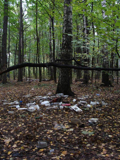 мусор в лесу